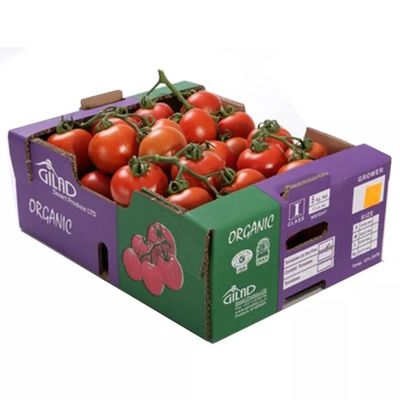 Fruit se pliant de carton d'OEM et taille adaptée aux besoins du client par boîtes de Veg