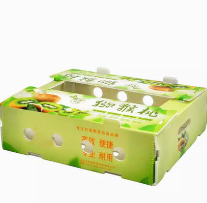 Plastique de pp	L'emballage de fruit enferme dans une boîte l'anti charge statique de plat de boîte creuse de chiffre d'affaires