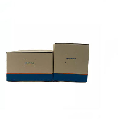 La boîte de Matt Lamination Auto Parts Packaging/le carton caisse d'emballage a ridé le GV
