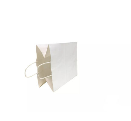 Sac à emporter de cadeau d'achats d'emballage de sac à main portatif de papier empaquetant l'ODM