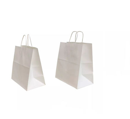 Sac à emporter de cadeau d'achats d'emballage de sac à main portatif de papier empaquetant l'ODM