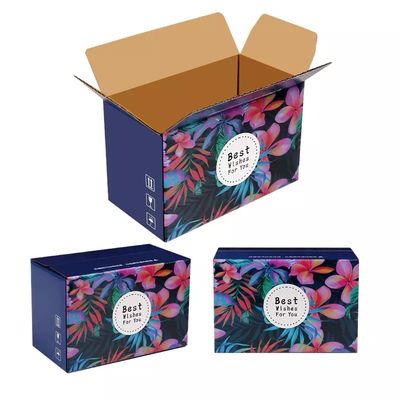 L'emballage dur de fruit de carton de 5 plis enferme dans une boîte la boîte ondulée de carton de fruit