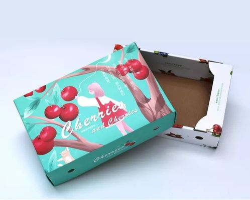 Boîtes en carton végétales écologiques de fruit CMYK/couleur de Pantone