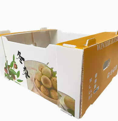 Plastique de pp	L'emballage de fruit enferme dans une boîte l'anti charge statique de plat de boîte creuse de chiffre d'affaires