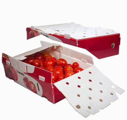 Les légumes portent des fruits les boîtes de empaquetage ont ridé la charge statique en plastique protectrice