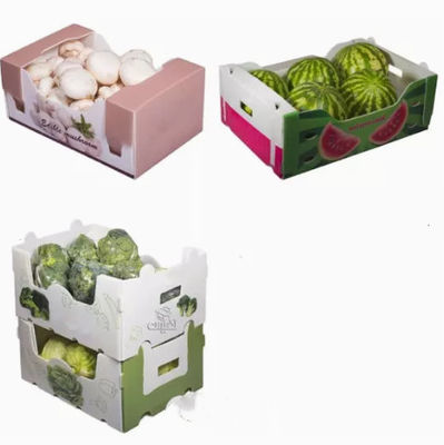 Les légumes portent des fruits les boîtes de empaquetage ont ridé la charge statique en plastique protectrice